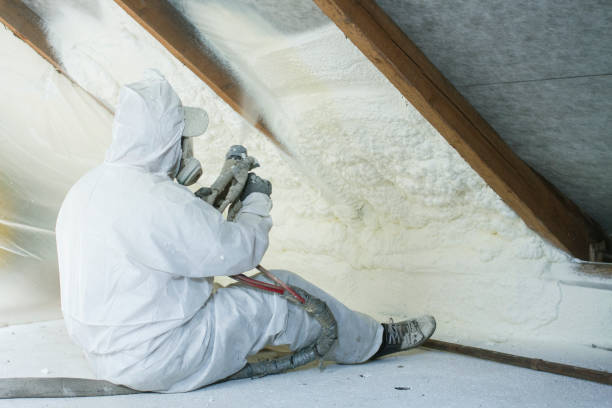 Best Spray Foam Insulation  in North Star, DE